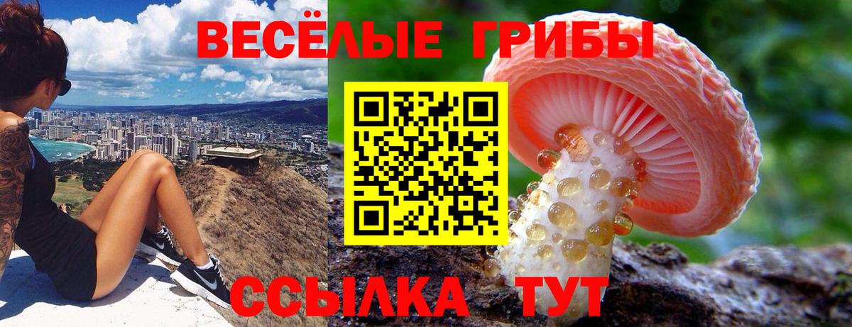 Галлюциногенные грибы MAGIC MUSHROOMS Каменск-Шахтинский