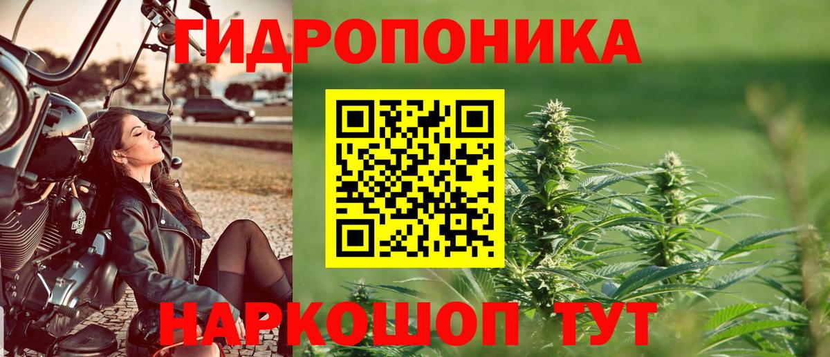 Бошки марихуана Ganja  Вход с VPN  Шишки марихуана тримм  Каменск-Шахтинский 